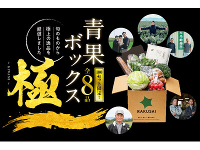 厳選野菜のプレミアムボックス RAKUSAI『青果ボックス～極(きわみ)～』