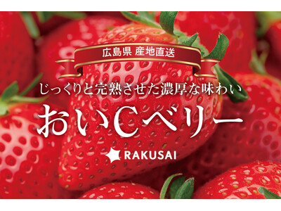 今季最後の産直いちご！北広島農場さんの『おいCベリー』（広島県産）