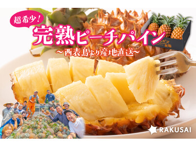 超希少！西表島より産地直送 アララガマ農園さんの完熟『ピーチパイン』