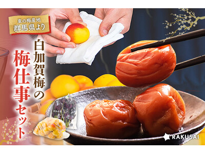 今年の初夏は“マイ梅干し”作りに挑戦！白加賀梅の『梅仕事セット』（群馬県産）