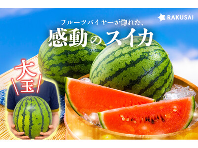 バイヤーが惚れた、感動のスイカ 蛭田さんの大玉スイカ『夏のぜいたく』（神奈川県）