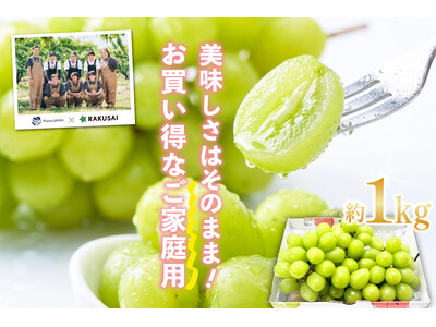 日照時間トップクラスの山梨県・甲府盆地から　PlayestJAPANさんの『ご家庭用シャインマスカット』