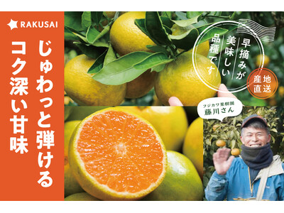 早摘みが美味しい！フジカワ果樹園さんの『ゆら早生みかん』（香川県産）