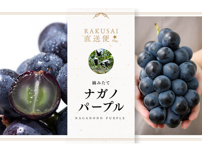 摘みたて濃厚な甘さ！