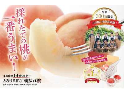 平均糖度14度以上!とろける甘さの“朝採れ桃”6/9より先行販売開始!