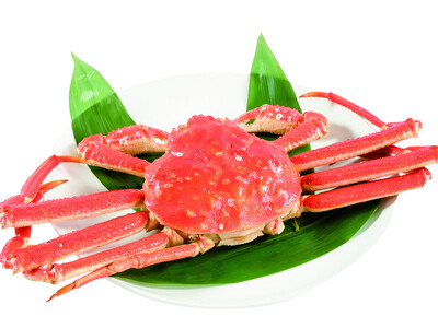 獲れたてのカニをリーズナブルに楽しめる『日本のてっぺん カニ倶楽部 稚内漁港直送』新メニュー『牡蠣のがんがん焼き』など商品続々登場