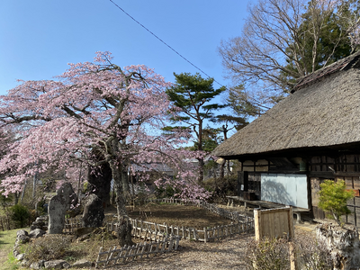 長野県富士見町『信州ふじみおひさんぽ2024-2025』ウォーキングガイドツアーの開催が決定しました！地...