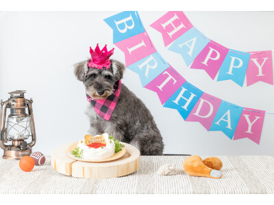 ワンちゃんが主役！家族みんなで思い出作り　特別な日を公園で過ごす「ワンちゃんバースデープラン」が新登場