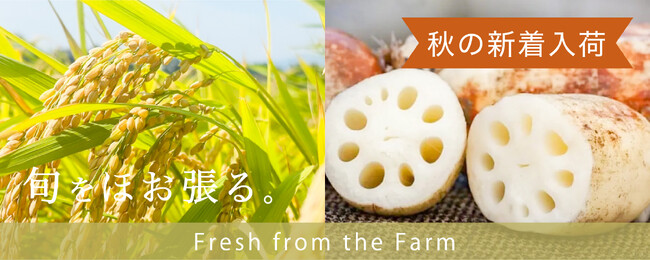 【ギフトおすすめ】九州の旬のフルーツ・野菜セットをお届けするサービスMINORIから秋の新商品入荷