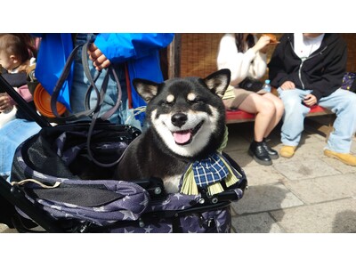 【ご予約受付中】愛犬と一緒にバスツアー！人気の淡路島から福井や岡山など豊富なラインナップ