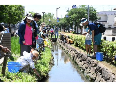 博物館前田んぼの生き物観察会を実施しました!