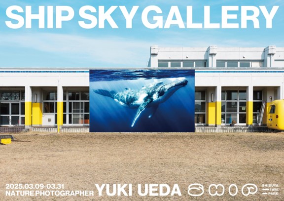 QO、Nature Photographer 上田優紀氏の作品を屋外に展示する「SHIP SKY GALLERY 青空動物写真展」を共催
