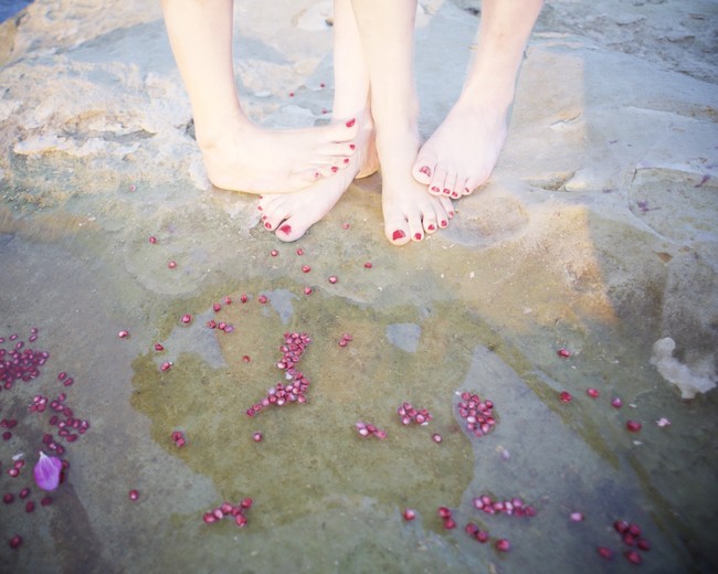 ƌ̋E@xmtCtHgTʐ^ƉvWFNgyʐ^Ƃ̐VzRieko Honmaʐ^Wuv