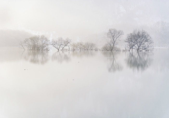 RƐXƐ삪DȂAzIȐE@xmtCtHgTʐ^ƉvWFNgyʐ^Ƃ̐Vz@ֈꐬʐ^W@u̐X() -Lake Shirakawa-v