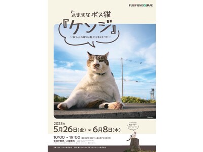 フジフイルム スクエア 企画写真展気ままなボス猫『ケンジ』
