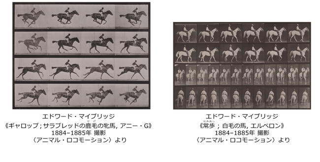フジフイルム スクエア 写真歴史博物館 企画写真展　動画の原点『アニマル・ロコモーション』「連続写真に取り憑かれた男 エドワード・マイブリッジ」