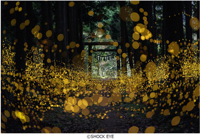 プレスリリース「フジフイルム スクエア 企画写真展　SHOCK EYE写真展「和景讃歌」」のイメージ画像