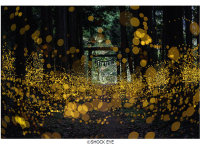 フジフイルム スクエア 企画写真展　SHOCK EYE写真展「和景讃歌」