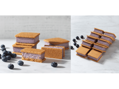 チーズスイーツ専門店「Now on Cheese♪」大人気商品「チーズケーキサンド」から、初夏の味わい『チーズケーキサンド・ブルーベリー』が登場。6月1日より季節限定で販売いたします。