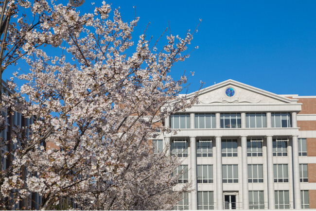 2月23(日)、3月29日(土) 杏林大学総合政策学部オープンキャンパス開催！