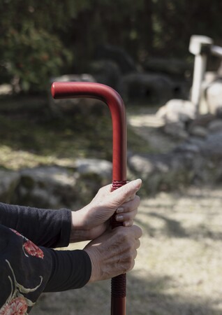 カリモク家具、ミラノデザインウィーク発の企画から杖の製品化プロジェクトを始動