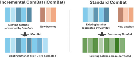 DNAメチル化アレイデータの新規前処理手法「iComBat」を提案した論文が計算生物学の国際学術誌 「CSBJ」に掲載されました