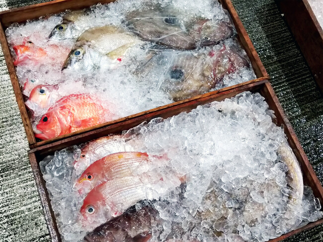 【角上魚類 × 愛媛県】11/30・12/1 愛媛フェア開催～愛媛のポテンシャルは高い！～天然魚が大漁入荷