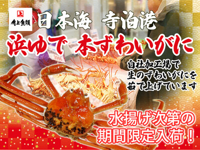【角上魚類】冬の味覚「本ずわいがに」が寺泊本店に数量限定で登場！茹で立ての「本ずわいがに」は格別の味わいです！