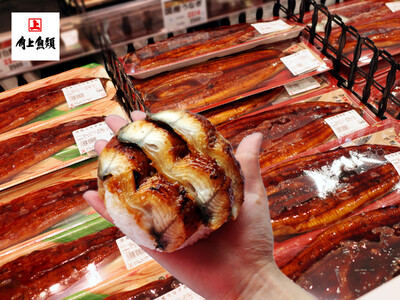 【角上魚類】春も土用の丑の日？夏だけじゃない！新生活の疲れが出る今こそ“うなぎ”の出番。手のひらからはみ...