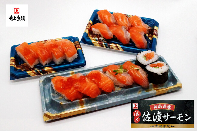 【角上魚類】新潟・日本海が贈る初夏の贅沢「活〆佐渡サーモン」期間限定で販売スタート！刺身・寿司・揚げ物まで、“サーモン”に染まる店内で旬を味わい尽くす30日間のご当地サーモン祭り！