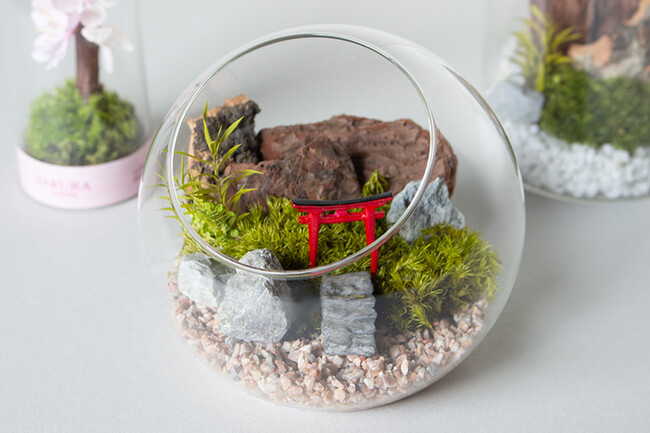【新商品情報】“苔プリ(R)”に新ラインナップが登場！　～観光土産・ジオラマ・キットの3ジャンルで、選ぶ楽しさをご提案～