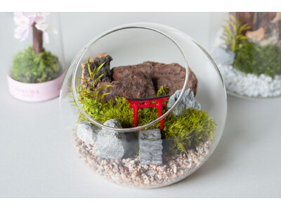 【新商品情報】“苔プリ(R)”に新ラインナップが登場！　～観光土産・ジオラマ・キットの3ジャンルで、選ぶ楽しさをご提案～