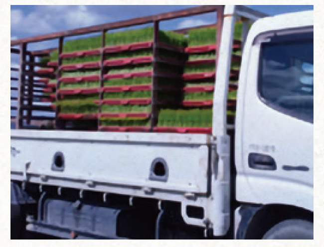 SAGAWA NEWS LETTER＜2025年7-8月号＞