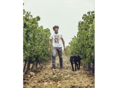 南仏ラングドックのスターワイナリー「ドメーヌ・ポール・マス」、3商品が新たに有機JAS認証取得