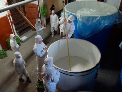 �y�k�C���̎𑢂�ɐV�����z���Y��Ă̐i���ƕ��݂����ɂ���u�Y�w�A�g�v�̐[��