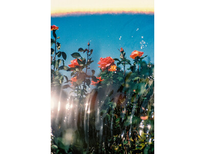 OSAJI（オサジ）初となるギャラリーの柿落としを飾るのは、写真家・大矢真梨子の個展「Inner Gar...