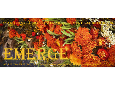 渋谷ヒカリエ8/CUBE 1,2,3で開催｜花のアート「EMERGE（エマージ）」展｜アヤコタナカドライフラワーアレンジメント