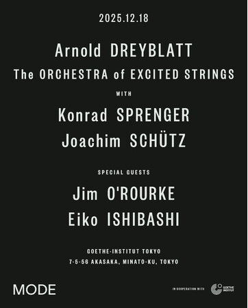 プレスリリース「Arnold Dreyblatt & The Orchestra of Excited Strings」のイメージ画像