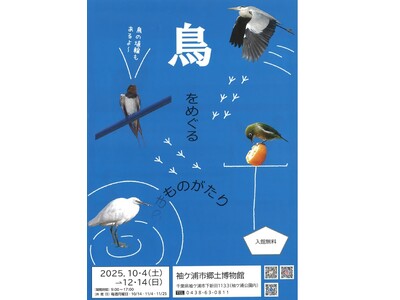 【千葉/袖ケ浦】企画展II「鳥をめぐる物語」を開催します！