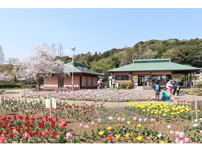 【千葉県袖ケ浦市】袖ケ浦公園に春がやってくる！「第３４回袖ケ浦公園まつり」を開催します！