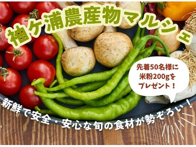【千葉】食材へのこだわり深めませんか?海ほたるで袖ケ浦農産物マルシェ開催します!