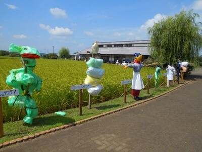 【千葉/袖ケ浦】令和7年度「田んぼの学校」と「農作業体験」実施