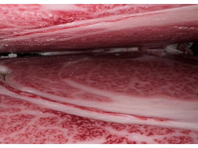 〈愛知・大府〉「愛知県知事賞」を受賞！また食べたくなる黒毛和牛「下村牛」が前人未到！の11回連続受賞!!