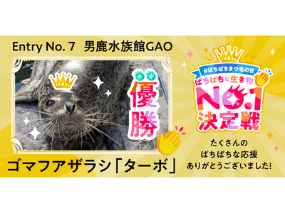 スカルプＤまつ毛美容液主催「ぱちぱちな生き物No.１決定戦」全国8か所の動物園・水族館対決を制したのは、男鹿水族館GAO・腹太鼓自慢のゴマフアザラシ「ターボ」！