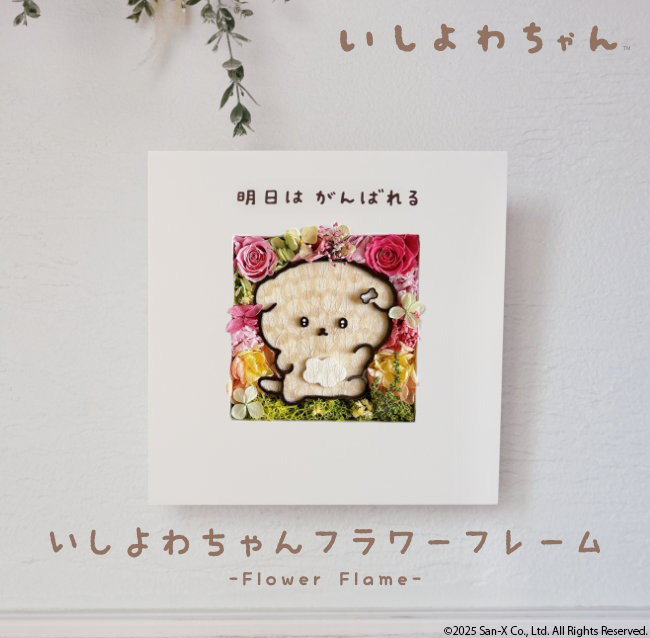 プレスリリース「眺めるだけで癒されそう！？意志が弱いイヌの人気キャラクター「いしよわちゃん」を、飾って愛でられるフラワーフレーム」のイメージ画像