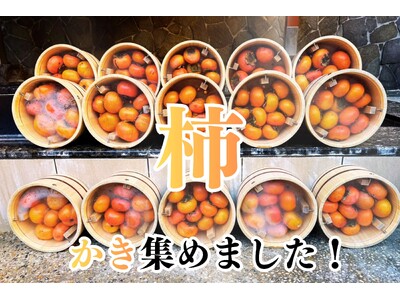 【いい風呂の日企画】かき集めた柿で「柿風呂2025」開催！