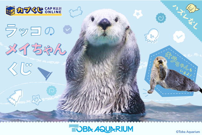 『鳥羽水族館』のアイドル！ 「ラッコのメイちゃん」のお誕生日を記念したオンラインくじが、『カプくじオンライン』に登場！　メイちゃんのかわいい写真を使用した豪華景品が多数展開！