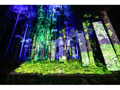 ゴールデンウィーク！体験型アート「チバームランド・光の切り絵ナイトウォーク」をみなかみで楽しもう