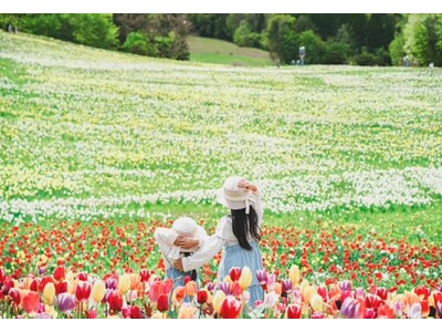 【地元再発見】GWは「近場」で感動体験。100万株のスイセンが咲き誇る「ノルンみなかみフラワーガーデン」...