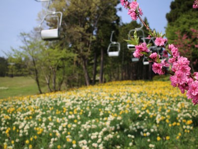 スキー場に30日間期間限定で出現する奇跡の風景【群馬県みなかみ町】